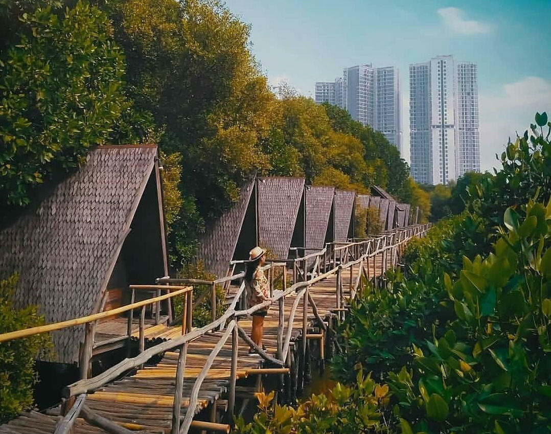 Taman Mangrove Angke Kapuk